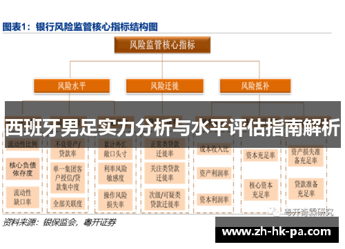 西班牙男足实力分析与水平评估指南解析