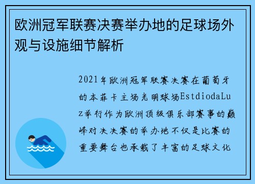欧洲冠军联赛决赛举办地的足球场外观与设施细节解析