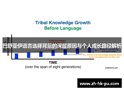 巴舒亚伊语言选择背后的深层原因与个人成长路径解析 巴舒亚伊语言选择背后的深层原因与个人成长路径解析